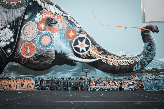 pensiero neurodivergente : sei tu l'elefante nella stanza? 