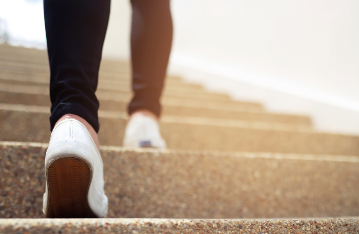 Multipotenzialità e percorsi di carriera: quale strada scegliere?